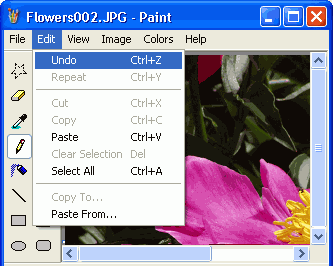 paint_undo.gif